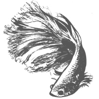 KantaKerro
